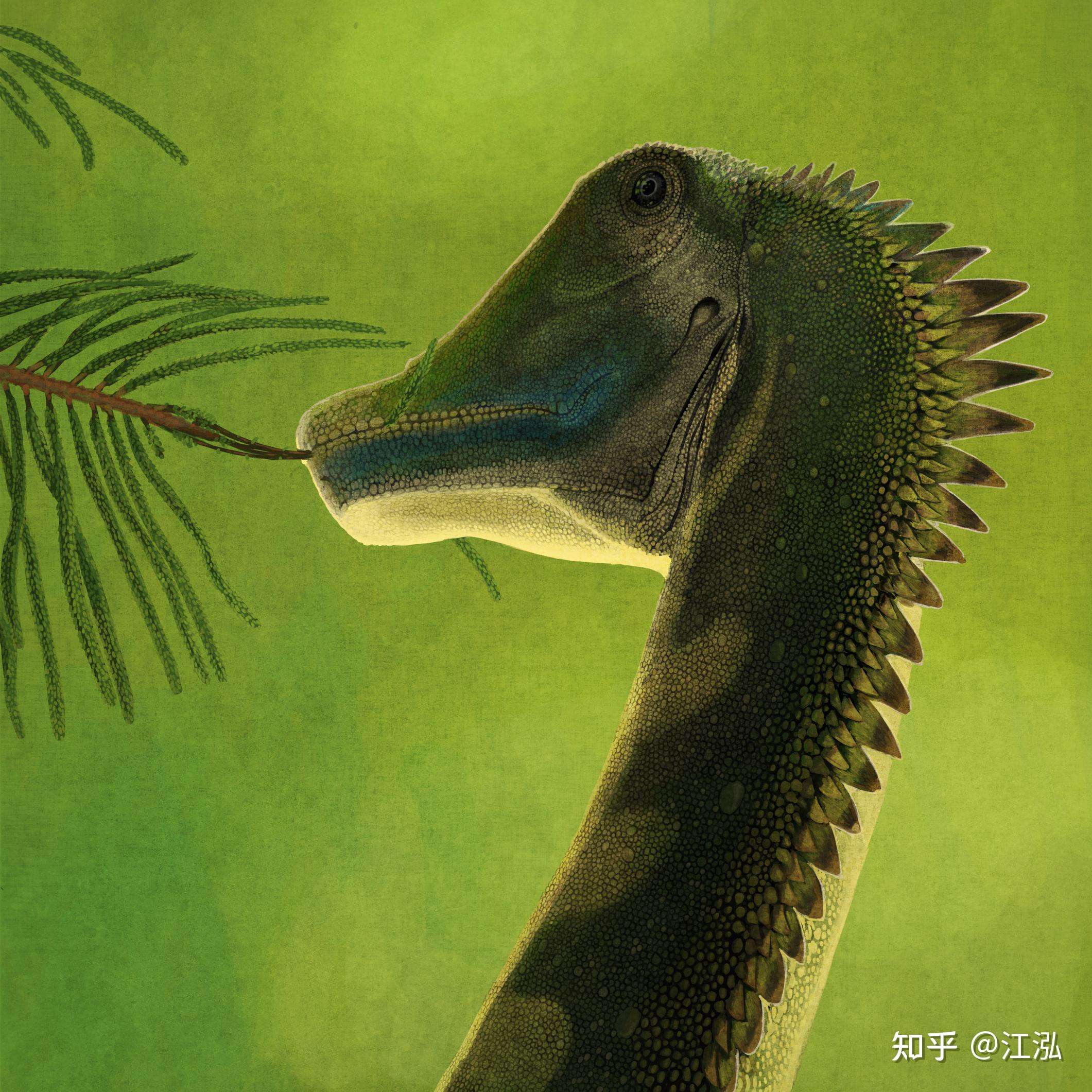 江泓 的想法: 【古生物复原图】进食中的卡耐基梁龙(dip… - 知乎