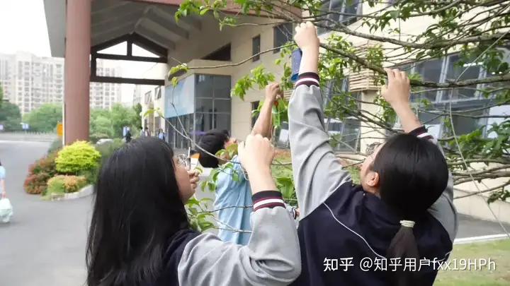 浙江省广播电视中等专业学校塘栖校区组织开展手绘风铃活动(图4)