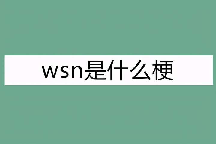 wsn是什么梗（女生发wsn是什么意思）