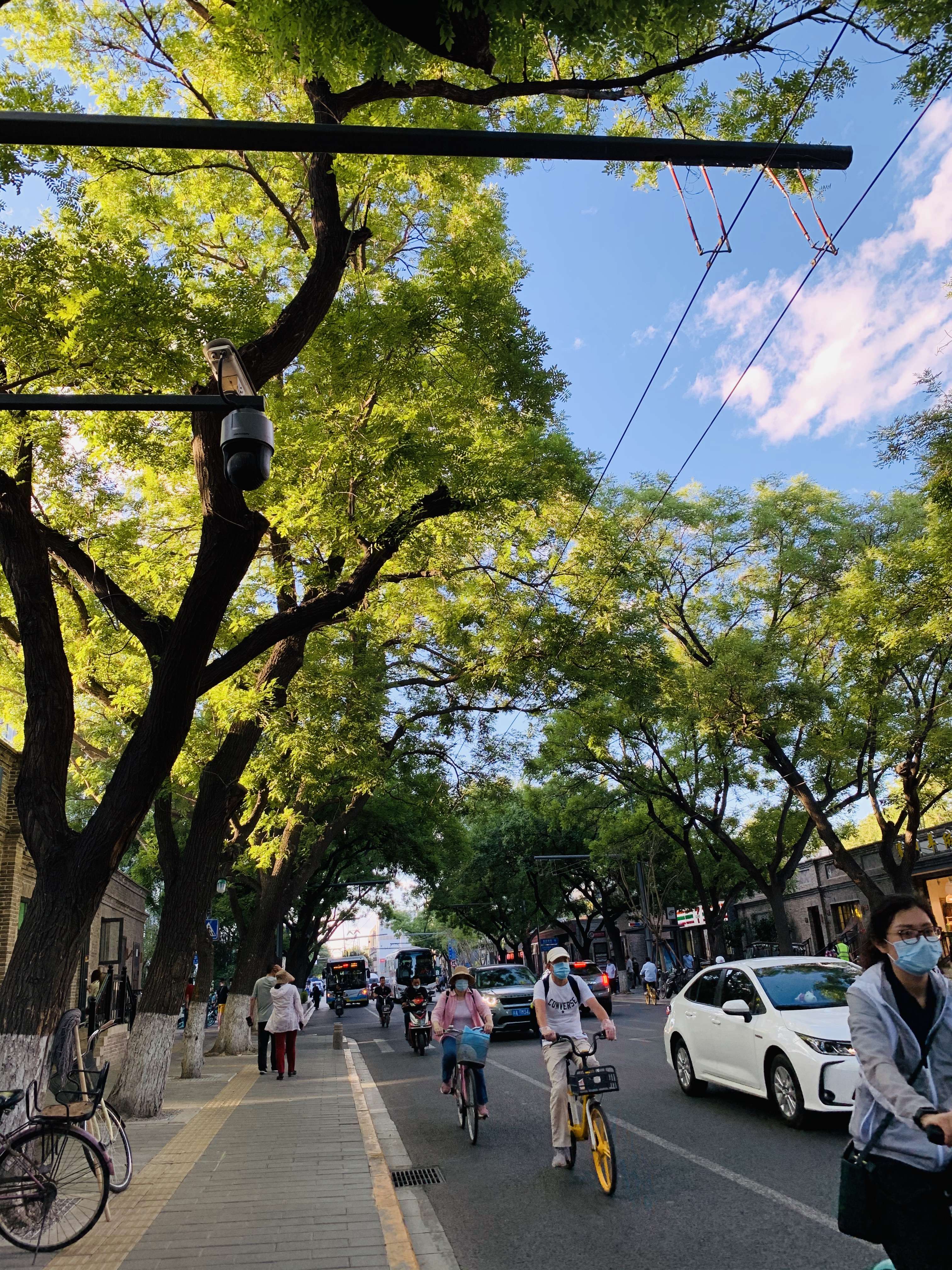 治愈生活蓝皮叔 的想法: 漂亮的北京街景~东四北大街!