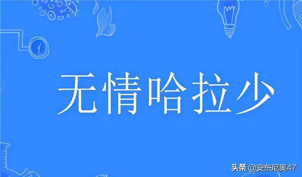 无情哈拉少是什么意思（无情哈拉少下一句咋接）