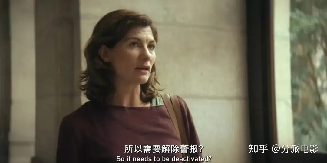 《双雌大盗》豆瓣8.7，近期最佳！