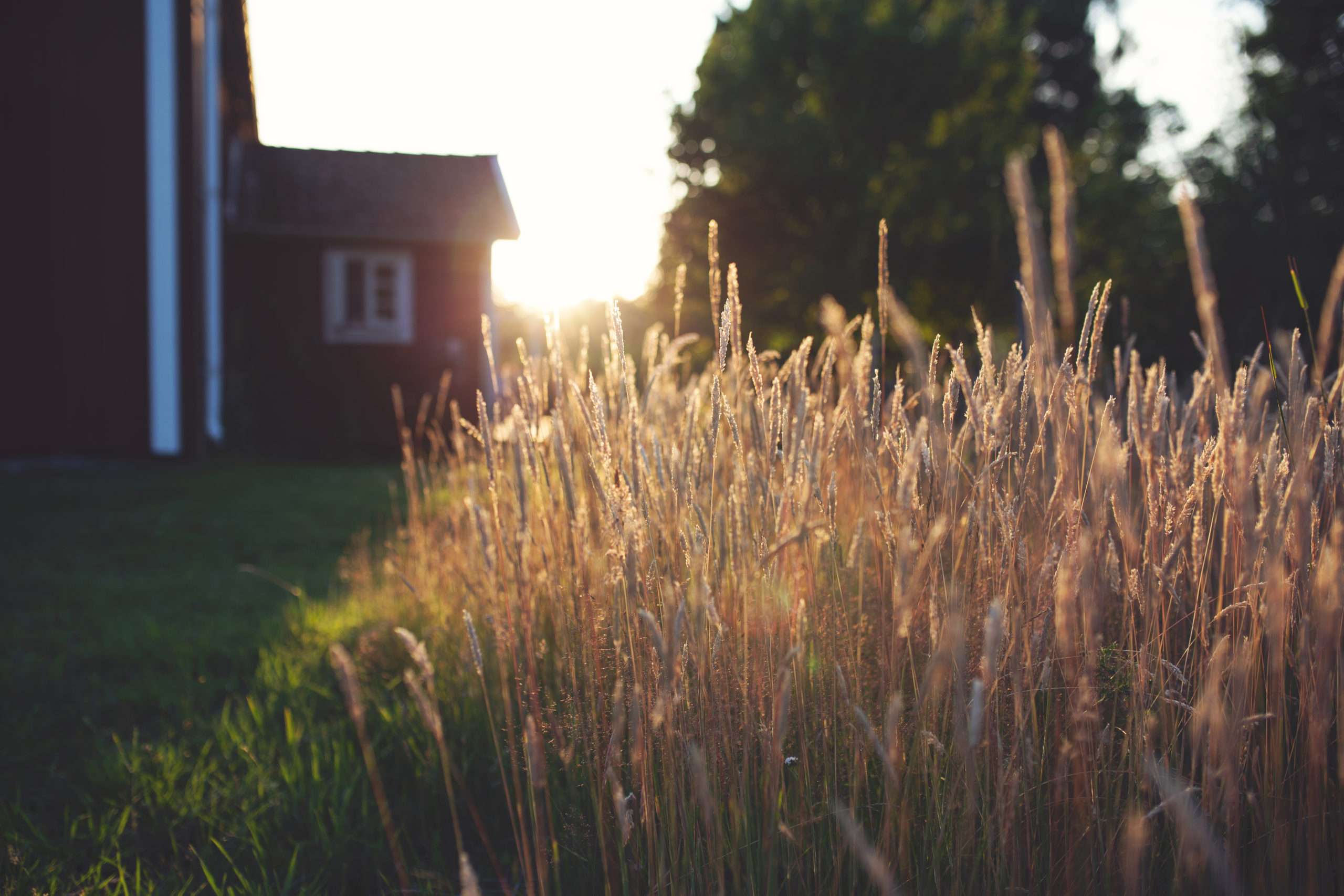 人生感悟 的想法: 可流年分明安然无恙,而山石草木是这样毫… - 知乎