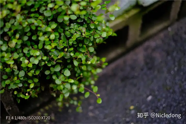 Sigma收購鏡頭
