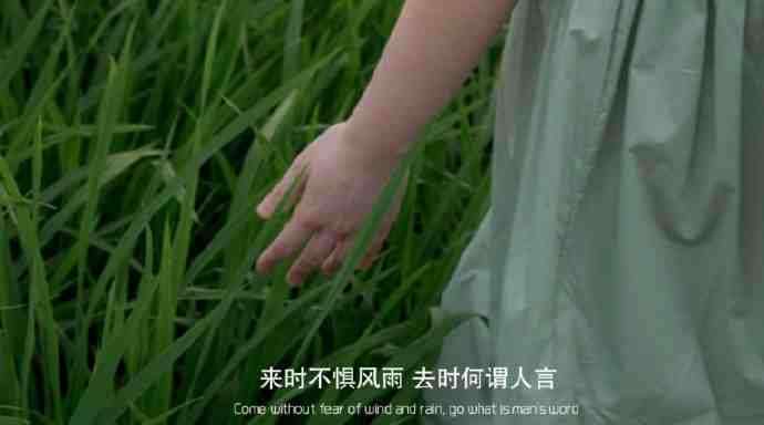有哪些神仙句子让你记到现在的?插图47 有哪些神仙句子让你记到现在的?插图47