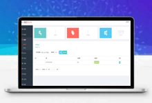 定制授权系统 盗版追踪 域名IP双授权 在线加密系统