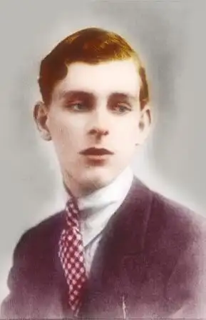 王尔德到底喜欢波西什么?