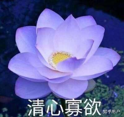 喜欢的一个男生用了很久的头像,我想知道这是情侣头像吗?