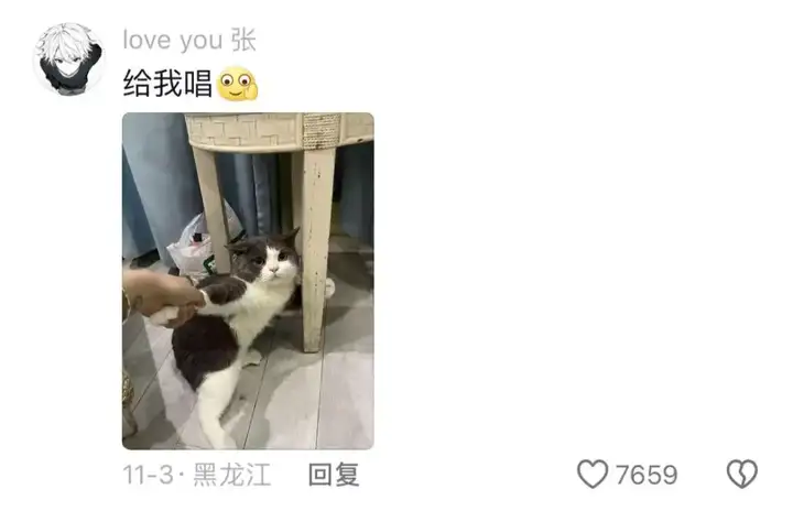 图片[3]-猫猫中文说唱火爆TikTok，神秘东方AI硬控老外-就爱副业网