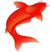 Zhihu profile picture for @guests