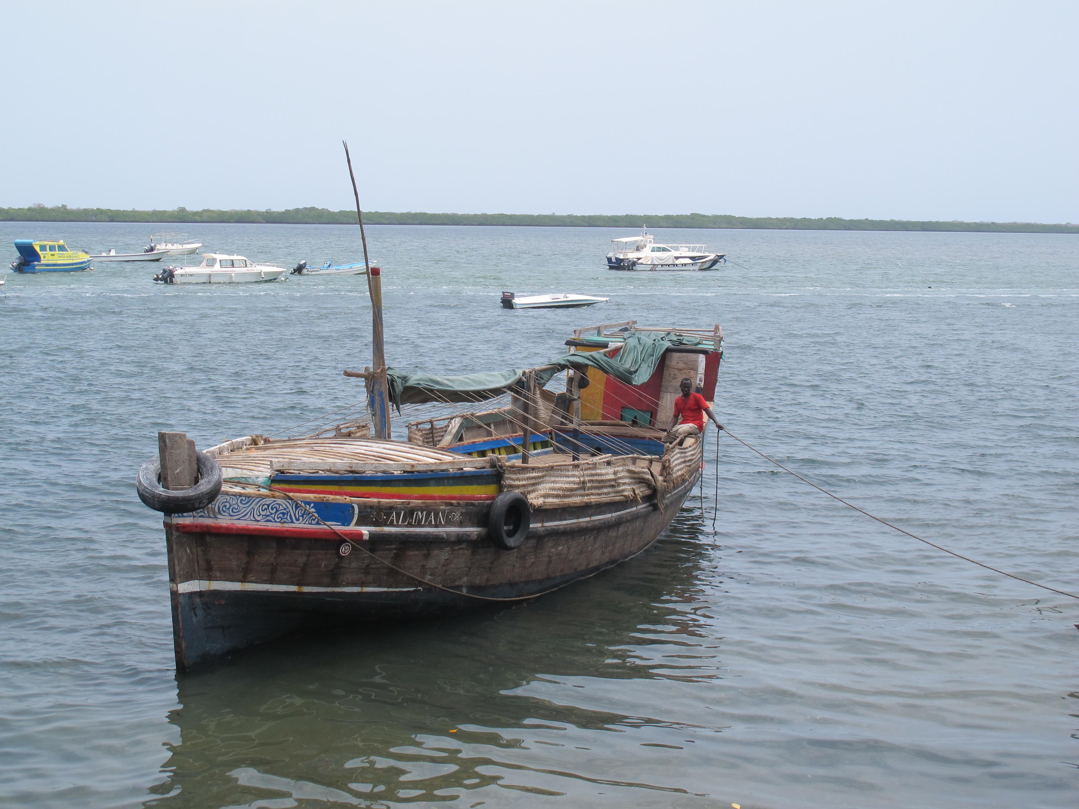 到非洲旅行带 8 岁小朋友同行有哪些需要注意的事项?