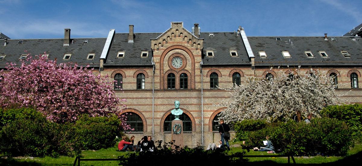 在哥本哈根大学 (university of copenhagen) 就读是怎样一番体验?