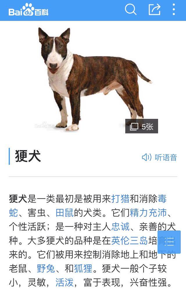 为什么有些犬类叫做11
