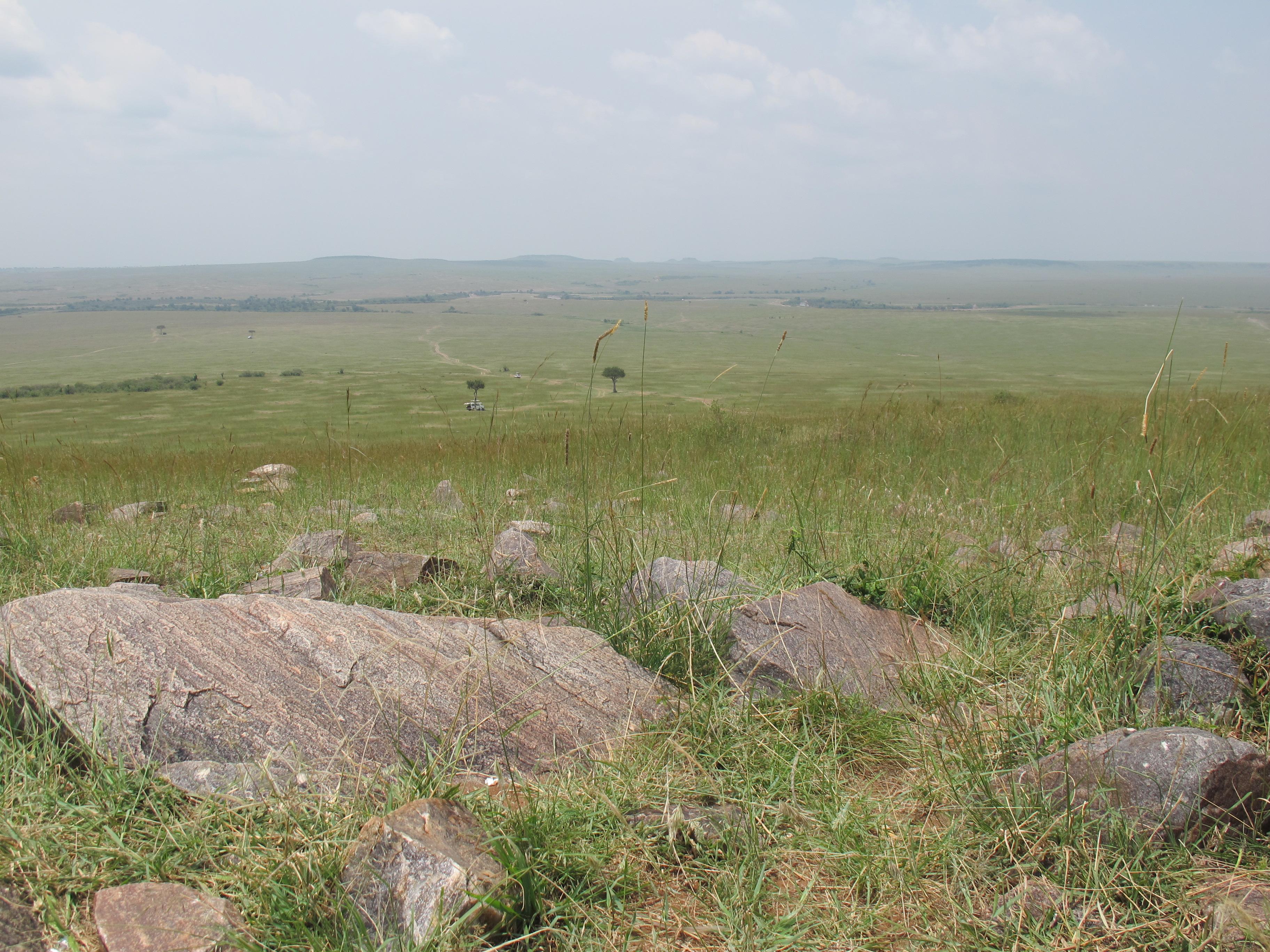 到非洲旅行带 8 岁小朋友同行有哪些需要注意的事项?