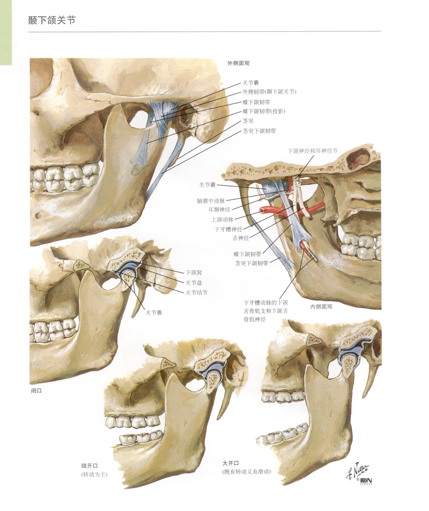 老婆查出颞合关节紊乱张嘴吃东西就疼说话多也疼医院说没办法医治不能