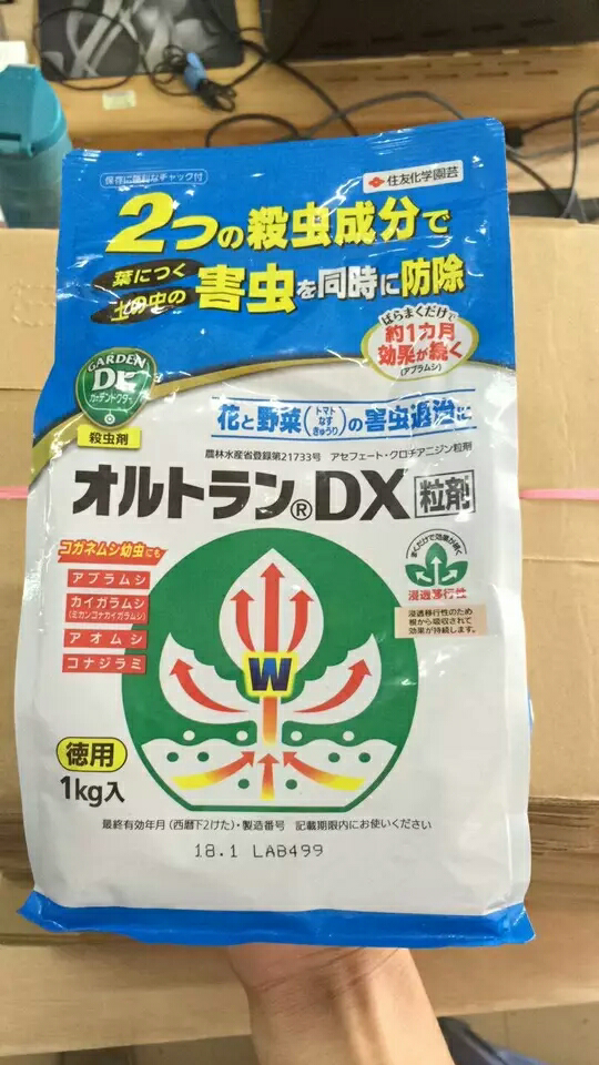 日本DX