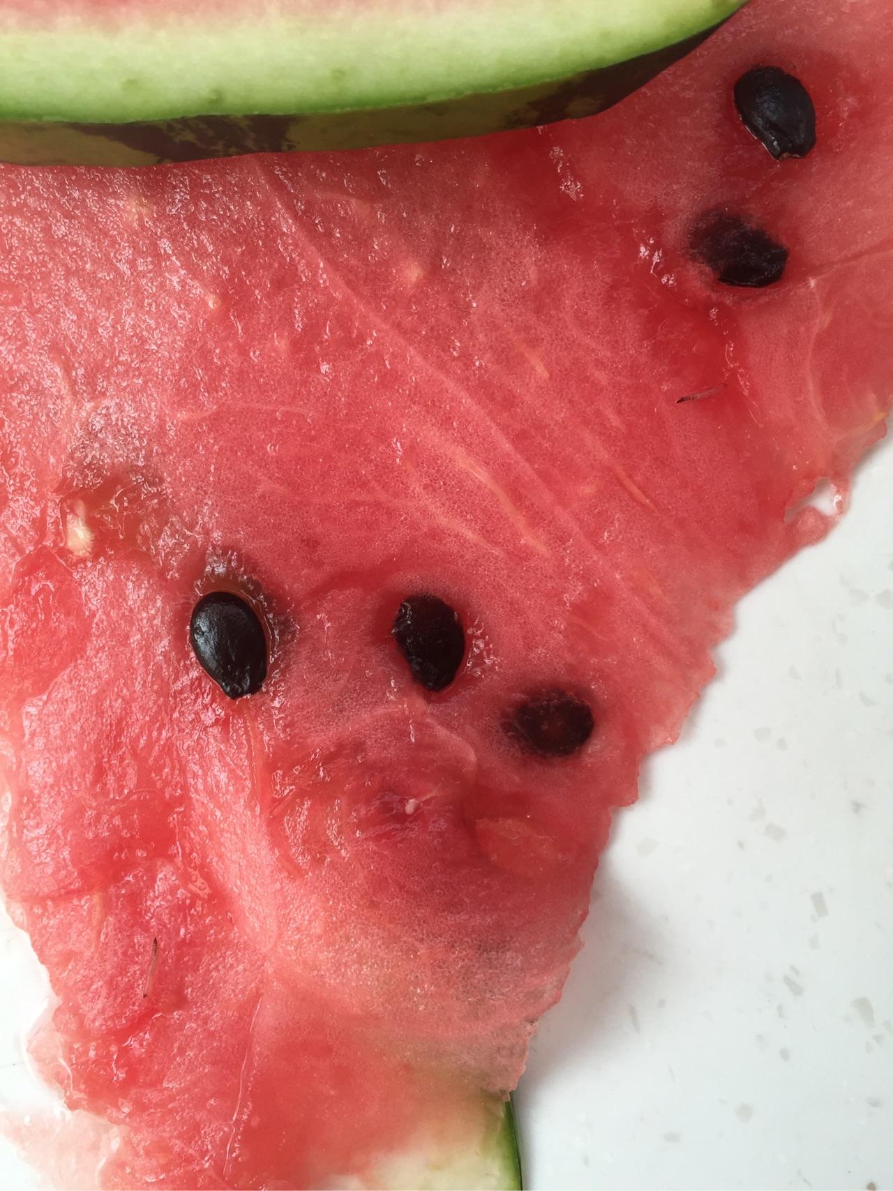 今天吃西瓜发现有虫子是什么