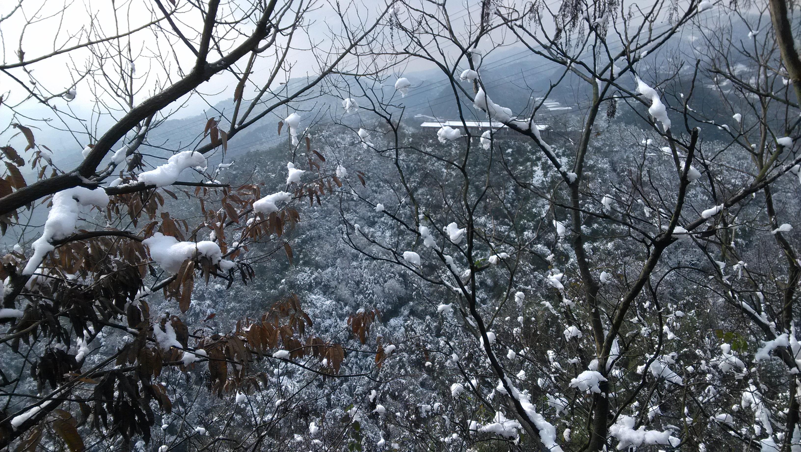 对于重庆下雪你有什么看法