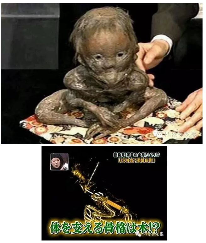 传说中的水猴子这种神秘生物真的存在吗