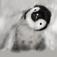Zhihu profile picture for @allegro