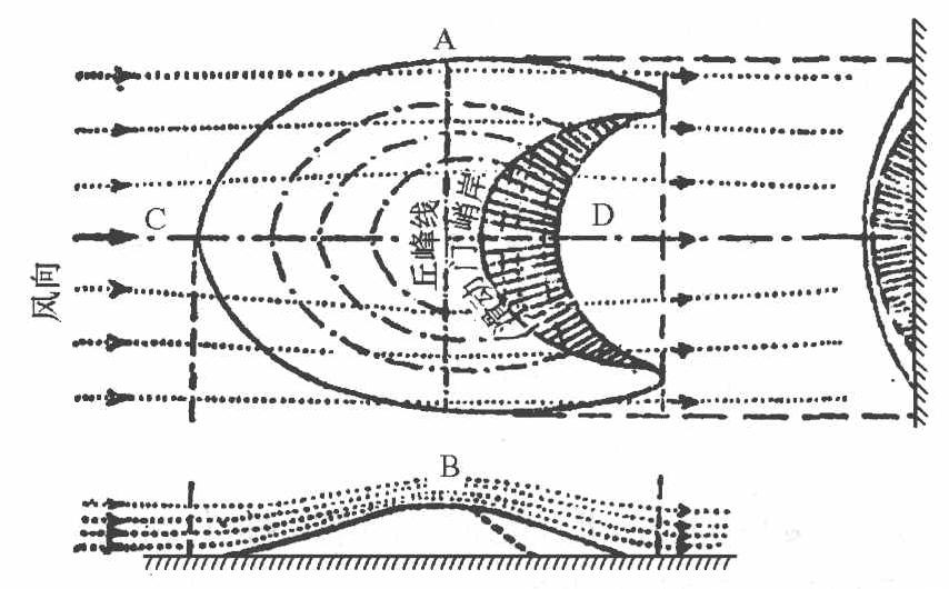 新月形沙垄是如何形成的?