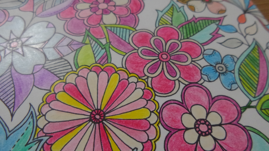 涂秘密花园到底需要什么样的彩色铅笔