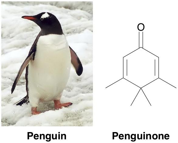 在你的研究领域，你了解的最有趣的分子（molecule）是什么，为什么？ - 知乎