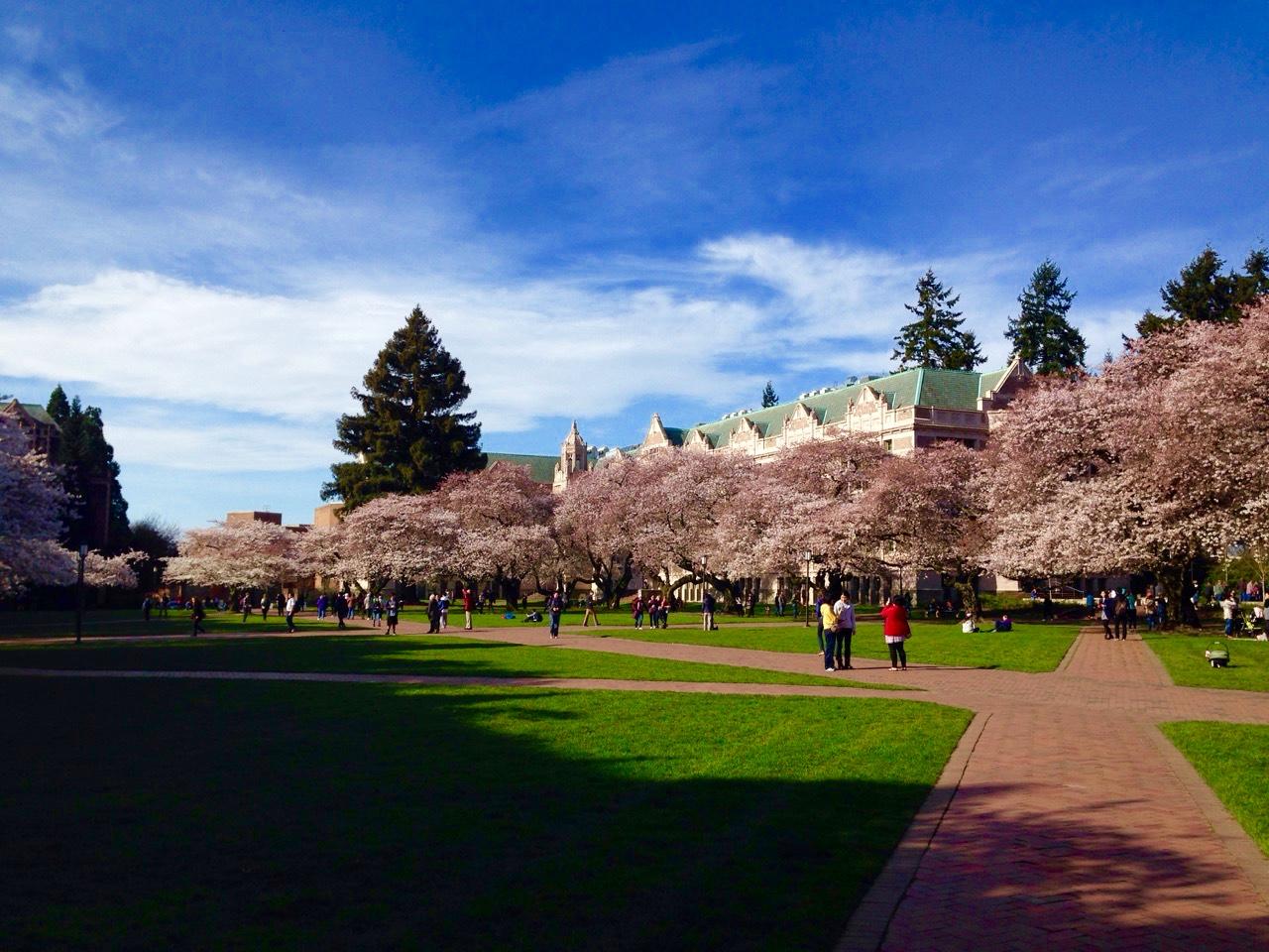 在华盛顿大学西雅图就读是怎样的一番体验