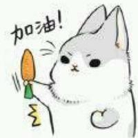 Zhihu profile picture for @polat