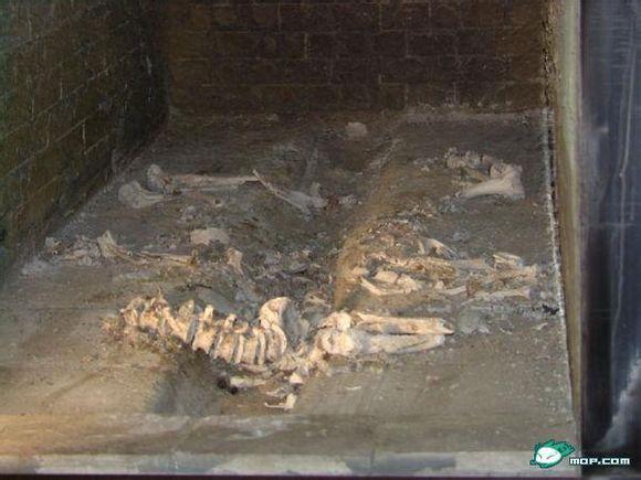 刚火化出炉的人体骨灰是粉状的还是块状的? 