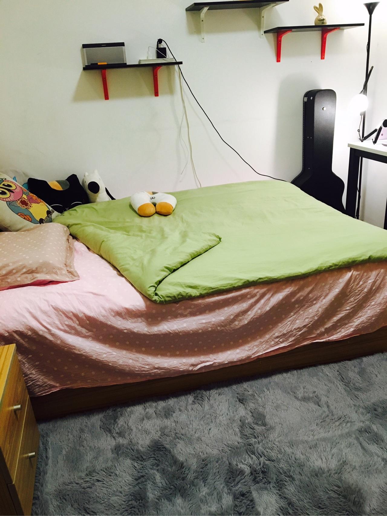 单身女性的生活是怎样的