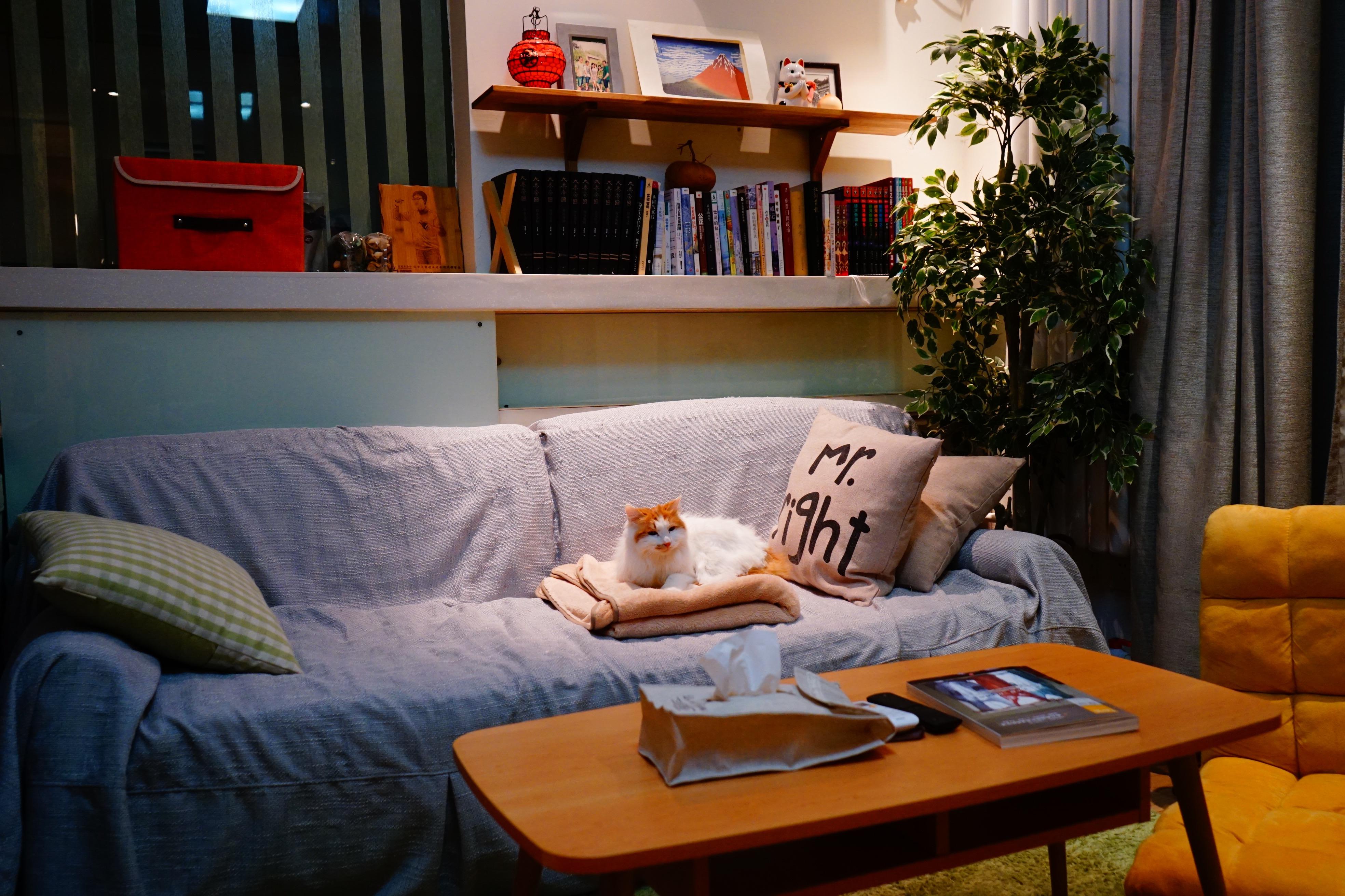 怎样花较少的钱装饰出格调高的单间配套出租屋