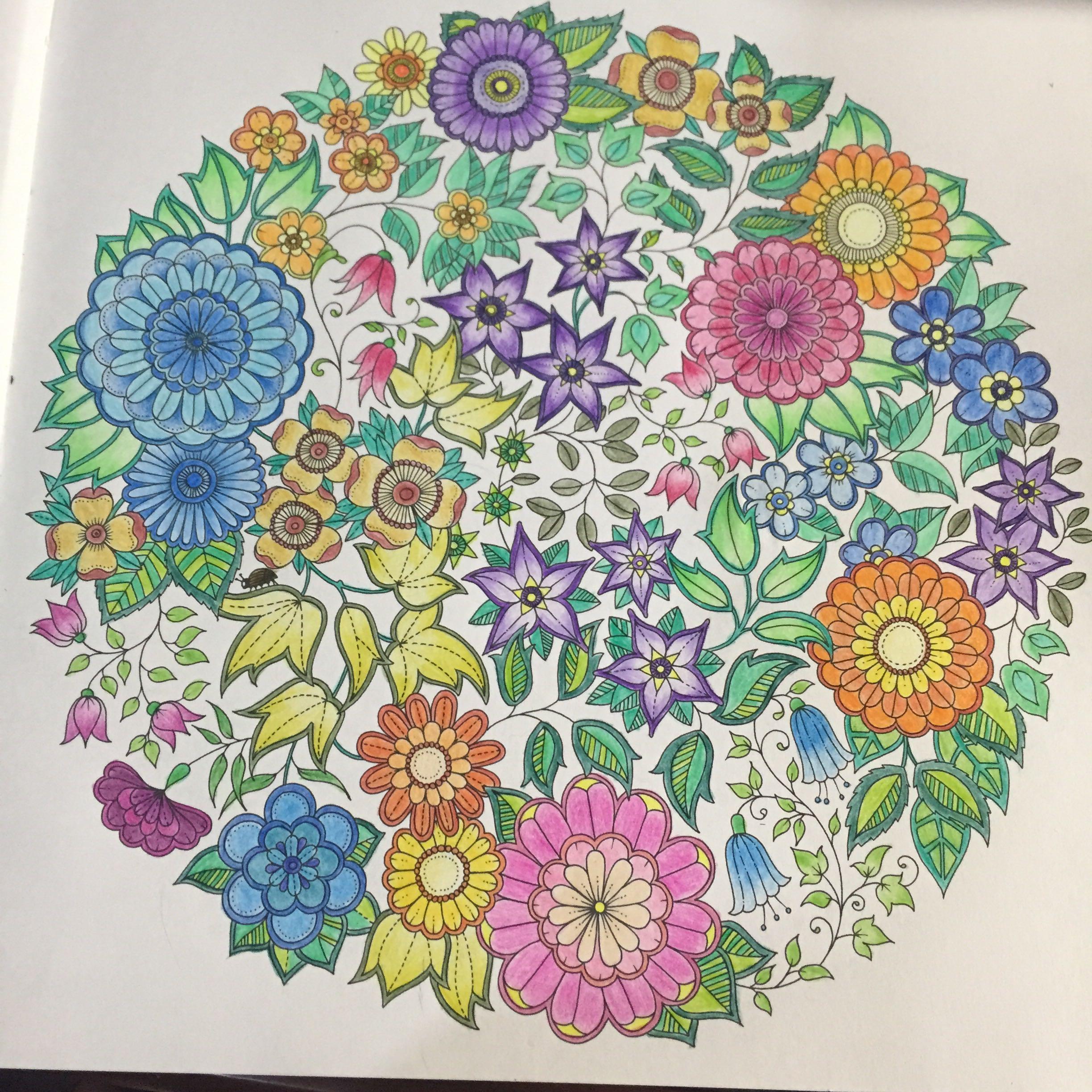 秘密花园怎样涂色才会显得高大上