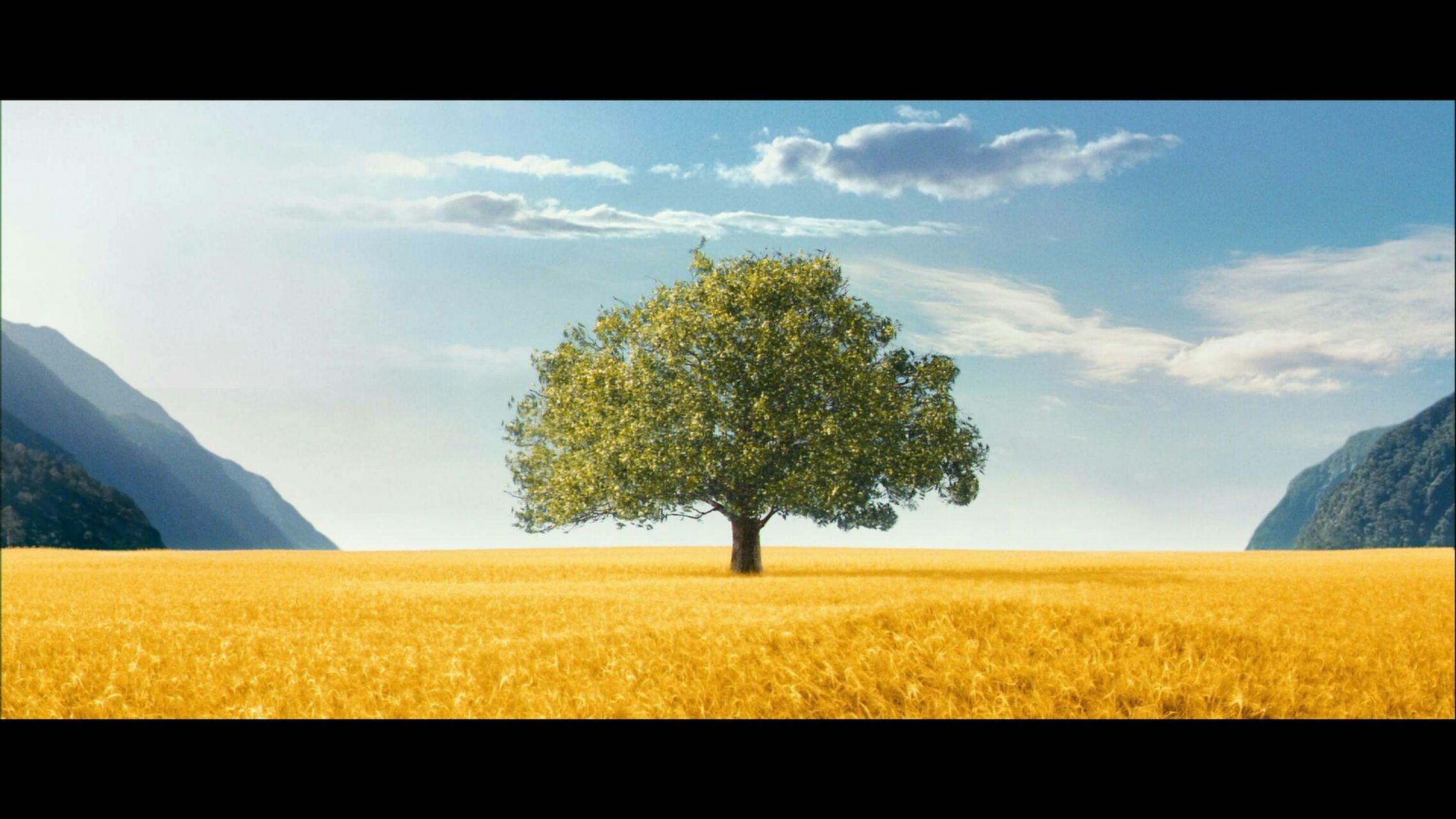 求一些有深度有美景的电影