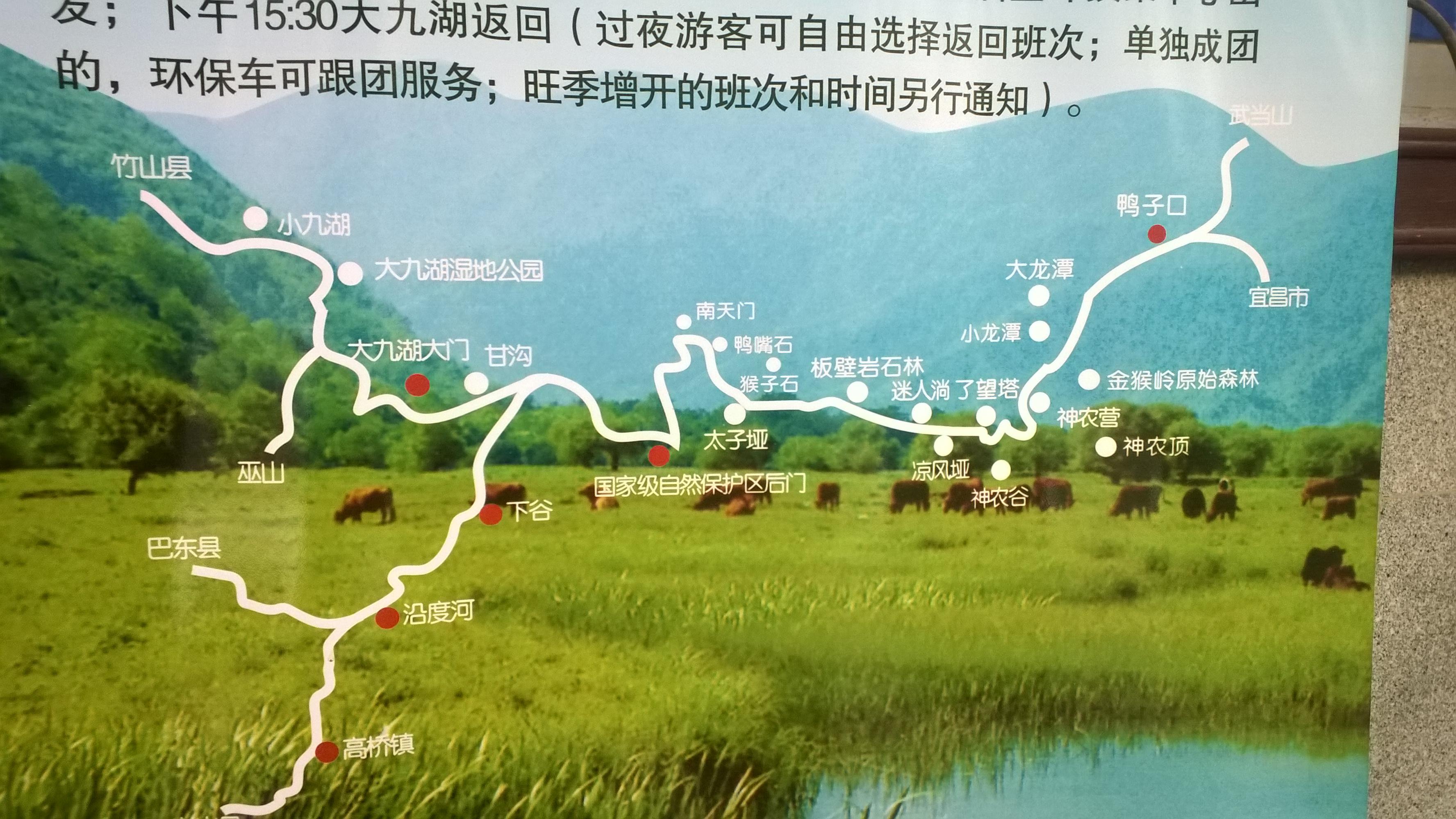 暑假出游正当时 · 九游体育- 九游体育官方网站- 九游娱乐APP下载- 助力世界杯多地出发实现成都-西安双城联动一次旅程“香”遇巴蜀风情与盛唐气韵