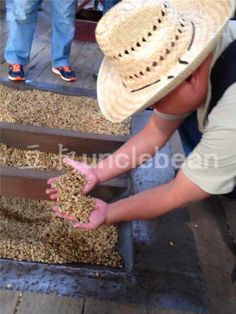 苏门答腊湿刨法是什么