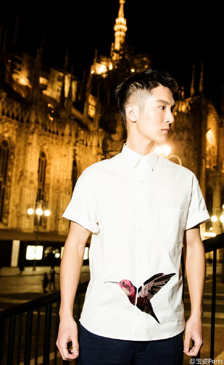 用一句话形容太子妃升职记中的齐晟