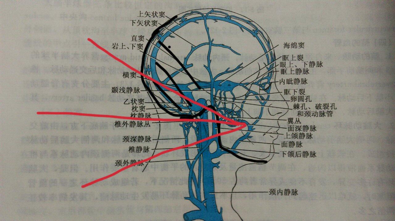 吞枪自杀痛苦吗
