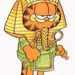 Zhihu profile picture for @garfield