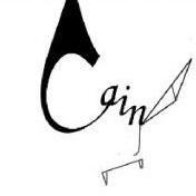 Zhihu profile picture for @cain