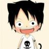 Zhihu profile picture for @straws
