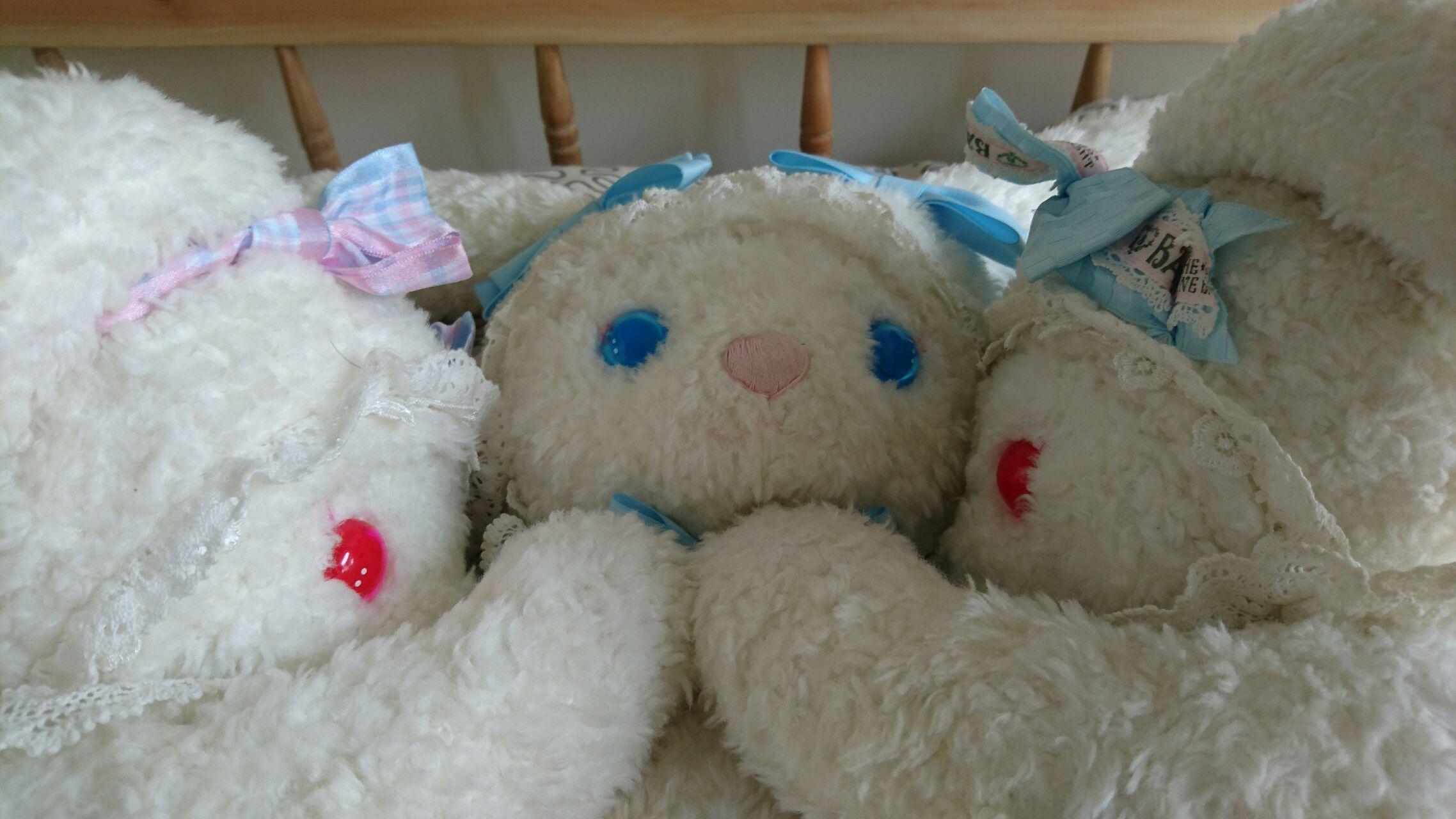 为什么好多lo娘都喜欢兔熊? - 知乎