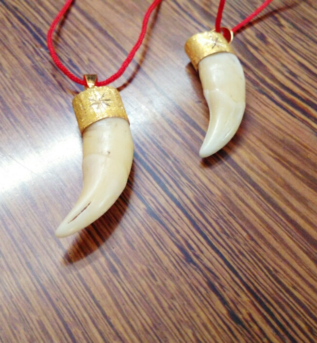 如何鉴定真虎牙老虎的虎牙