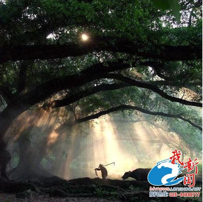 有什么经典的纪实摄影作品？ - 知乎