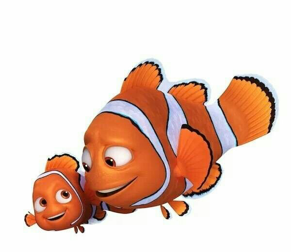 如何评价电影《海底总动员2:多莉去哪儿》(finding dory)?