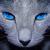 Zhihu profile picture for @towns