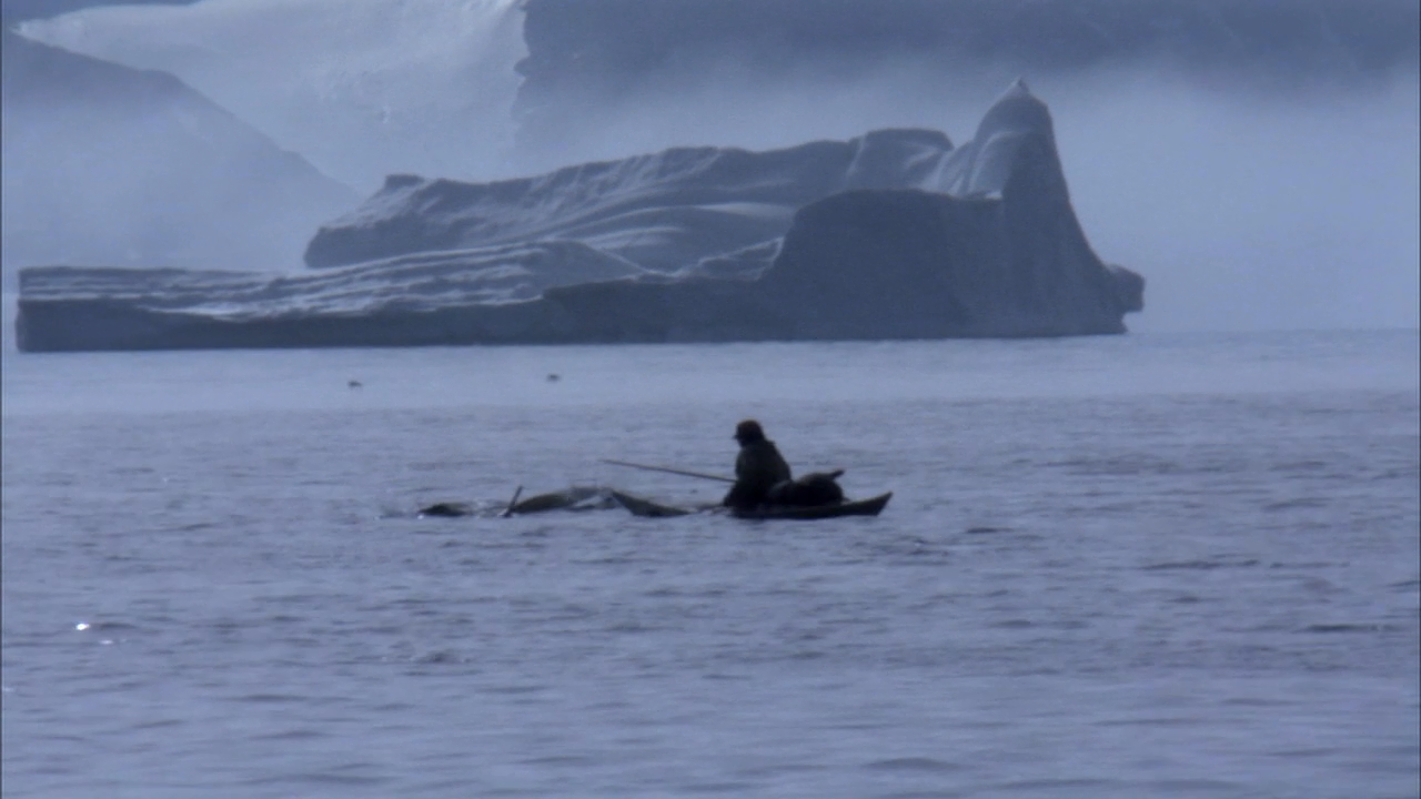 某个纪录片中讲述因纽特人拿网兜捕鸟的有谁知道这个纪录片的名字