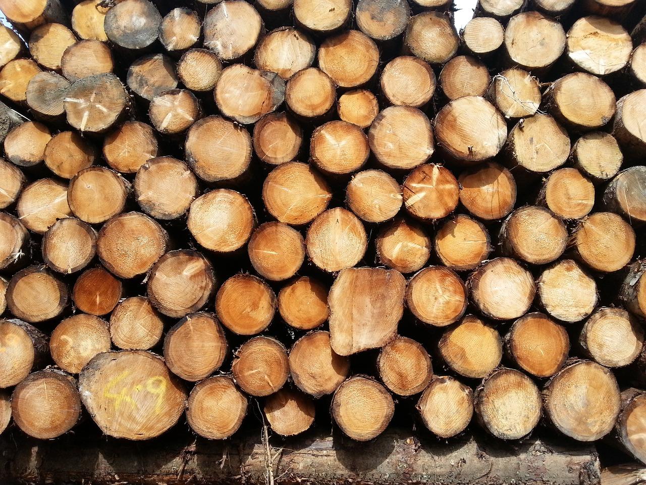 4. 冬青土壤改良