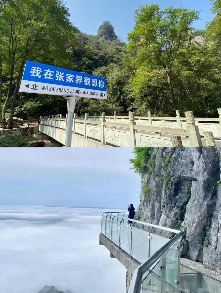 张家界旅游攻略|景点＋美食+路线+注意事 项 - 知乎