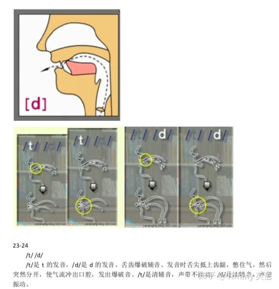 48个国际音标发音舌位图 - 知乎